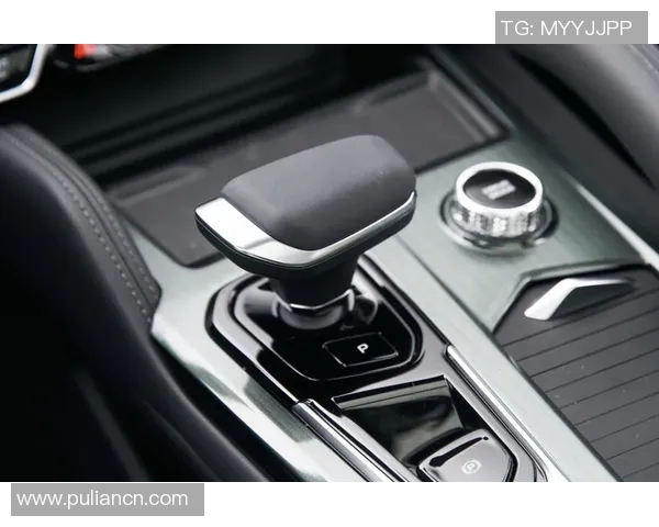 历史上最帅的足球明星盘点与魅力解析让我们一起回顾那些令人心动的瞬间