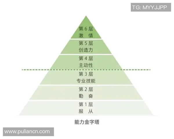 赛后复盘：北京排球队与成都排球队的团队协作与战术分析探讨